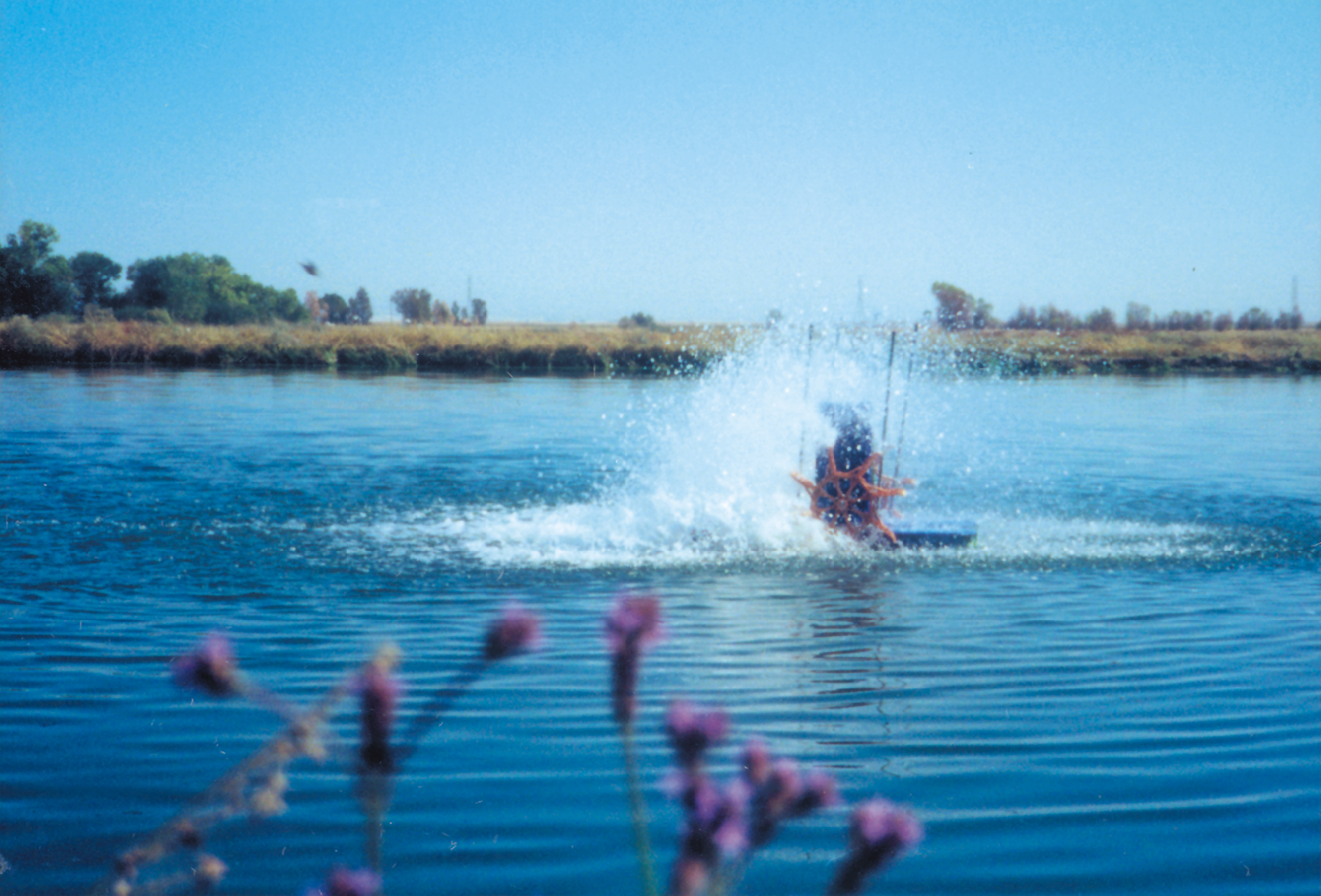 PaddlePaddlewheel aeration and automated oxygen monitoring systems help boost catfish production